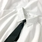 White Shirt Women Blusas Short Sleeve Lapel Blouse with Tie Japanese Fashion - Image 5