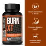 Fat Burner Supplement-Boosts Immune System, Detoxifies, Boosts Metabolism - Image 2