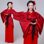 Long Sleeves Hanfu Long Dress Patchwork Ancient Style Chinese Traditional Costumes