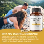 Cartilage Regeneration Supplement - Contains Type II Collagen, Glucosamine - Image 3